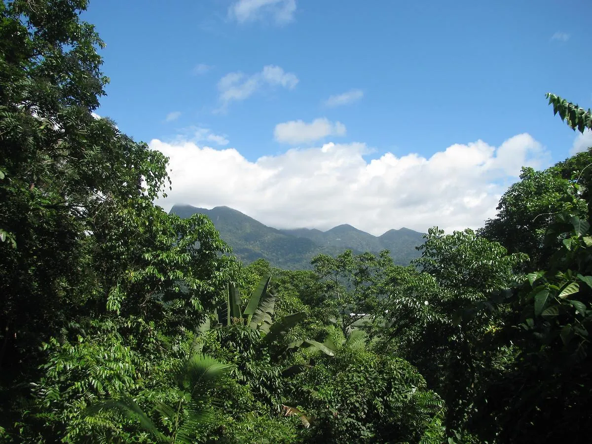 Mossman Gorge Bed And Breakfast Australia